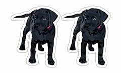 Black lab puppy for sale  Delivered anywhere in USA 