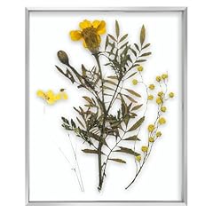 Frametory floating picture for sale  Delivered anywhere in USA 