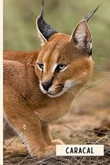 Caracal composition notebook usato  Spedito ovunque in Italia 