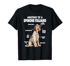 Anatomia uno spinone usato  Spedito ovunque in Italia 