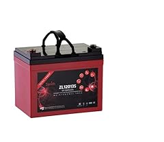 Batteria zenith zl120135 usato  Spedito ovunque in Italia 