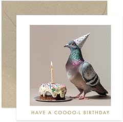 Fun pigeon birthday for sale  Delivered anywhere in UK
