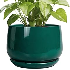 Epgardening ceramic pots for sale  Delivered anywhere in USA 