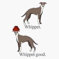 Whippet good devo for sale  Delivered anywhere in USA 