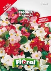 Sementi fiore qualità usato  Spedito ovunque in Italia 