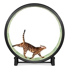 One fast cat for sale  Delivered anywhere in UK