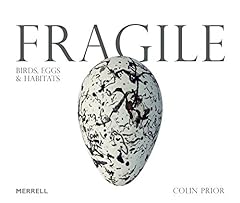 Fragile birds eggs for sale  Delivered anywhere in UK