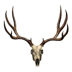Mossy oak graphics for sale  Delivered anywhere in USA 