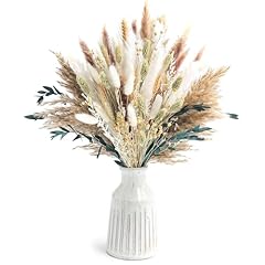 126pcs dried pampas for sale  Delivered anywhere in USA 