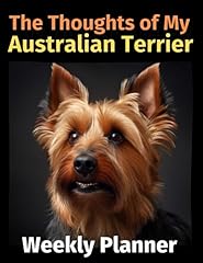 Thoughts australian terrier for sale  Delivered anywhere in UK