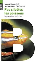Bêtes poissons scènes d'occasion  Livré partout en France