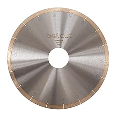 Belcut disco d300x10x2x60 usato  Spedito ovunque in Italia 