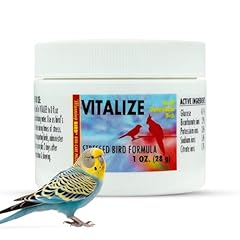 Morning bird vitalize for sale  Delivered anywhere in USA 
