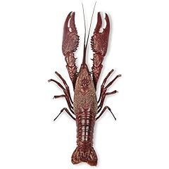 Preserved crayfish pail for sale  Delivered anywhere in USA 