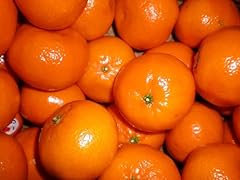 California honey tangerines for sale  Delivered anywhere in USA 