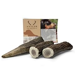 Antler chew antler for sale  Delivered anywhere in UK