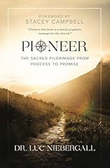 Pioneer gebraucht kaufen  Wird an jeden Ort in Deutschland