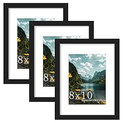 Picrit 8x10 picture for sale  Delivered anywhere in USA 