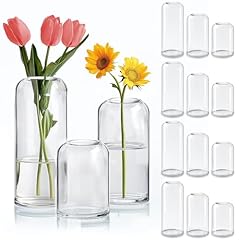 Comsaf small flower for sale  Delivered anywhere in USA 