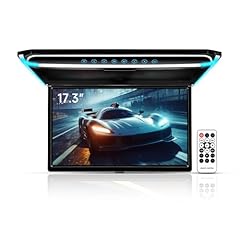 17.3 inch car for sale  Delivered anywhere in USA 