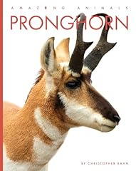 Pronghorn for sale  Delivered anywhere in USA 