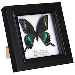 Housoutil butterfly shadow for sale  Delivered anywhere in UK