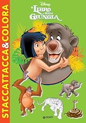 Staccattacca colora. libro usato  Spedito ovunque in Italia 