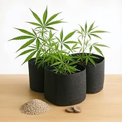 Cannabis anbau starter gebraucht kaufen  Wird an jeden Ort in Deutschland