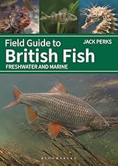 Field guide british for sale  Delivered anywhere in UK
