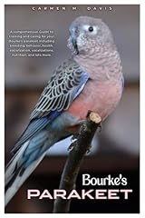 Bourke parakeet comprehensive for sale  Delivered anywhere in USA 