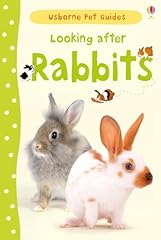 Looking rabbits for sale  Delivered anywhere in UK