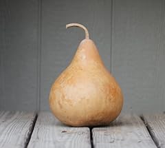 Martin birdhouse gourd for sale  Delivered anywhere in USA 