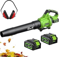Cordless leaf blower for sale  Delivered anywhere in USA 