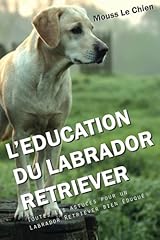 Education labrador retriever d'occasion  Livré partout en France