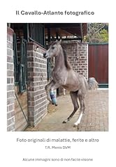 Cavallo atlante fotografico usato  Spedito ovunque in Italia 