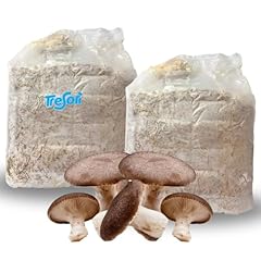 Tresorì panetti funghi usato  Spedito ovunque in Italia 