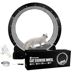 Jhsmerchandise cat exercise for sale  Delivered anywhere in USA 