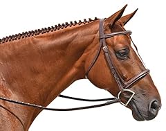 Toulouse working hunter for sale  Delivered anywhere in USA 