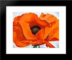 Red poppy 20x24 for sale  Delivered anywhere in USA 