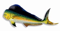 Hand painted mahi for sale  Delivered anywhere in USA 