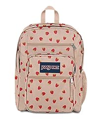 Jansport laptop backpack for sale  Delivered anywhere in USA 