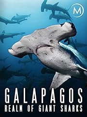 Galapagos realm giant for sale  Delivered anywhere in UK