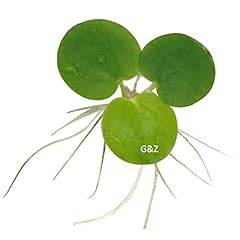 Amazon frogbit live for sale  Delivered anywhere in USA 