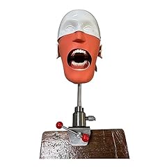 Dental phantom head for sale  Delivered anywhere in UK