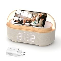 digital clock radio d'occasion  Livré partout en France