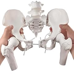 Merinden movable female for sale  Delivered anywhere in UK