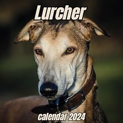 Lurcher calendar 2024 for sale  Delivered anywhere in UK
