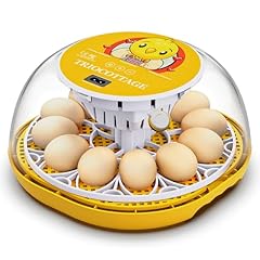 incubator egg d'occasion incubator egg d'occasion Livré partout en France