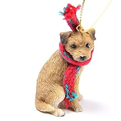 Border terrier tiny for sale  Delivered anywhere in USA 