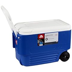 Ice cooler quart for sale  Delivered anywhere in USA 